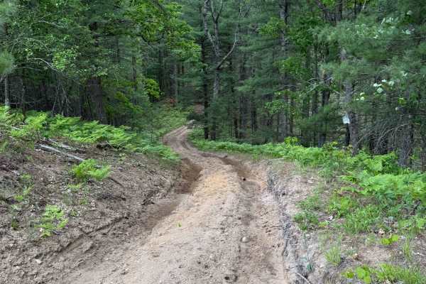 SFR 442142 Trail