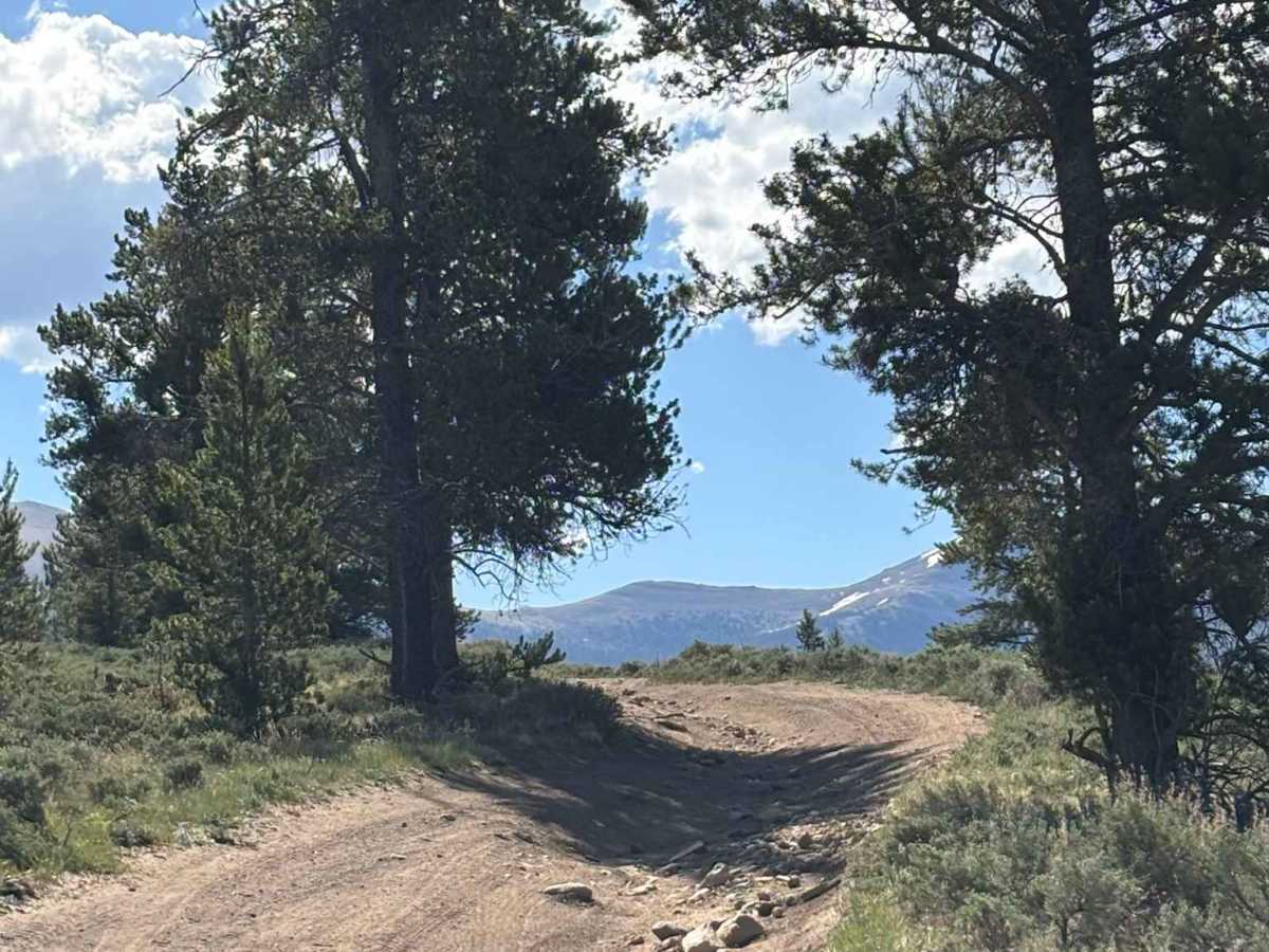 Cow Creek Connector Road photo 5
