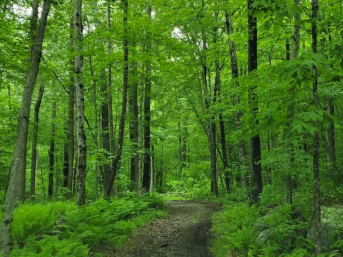 Sully's Way photo 6