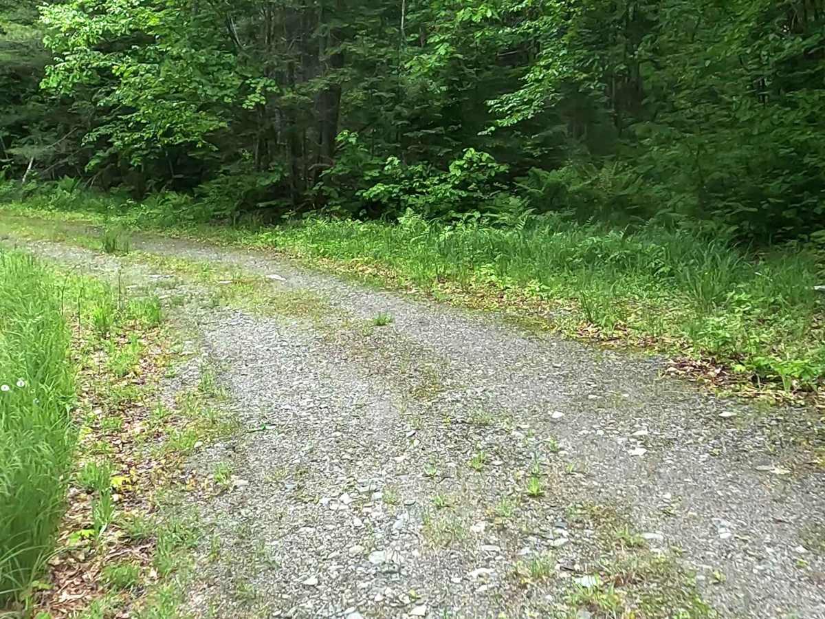 Wolf Lake Road Spur photo 4