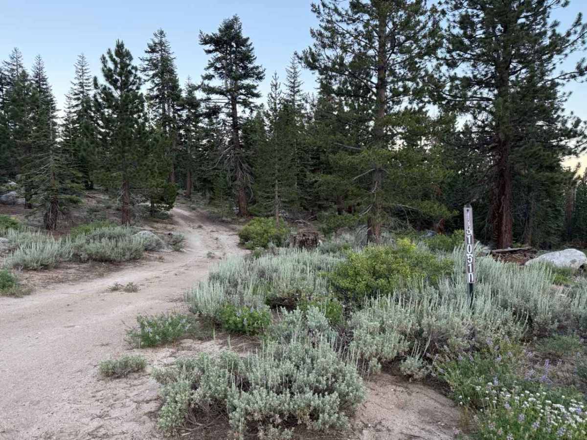 Willow Creek Road - FS 31051D trail photo