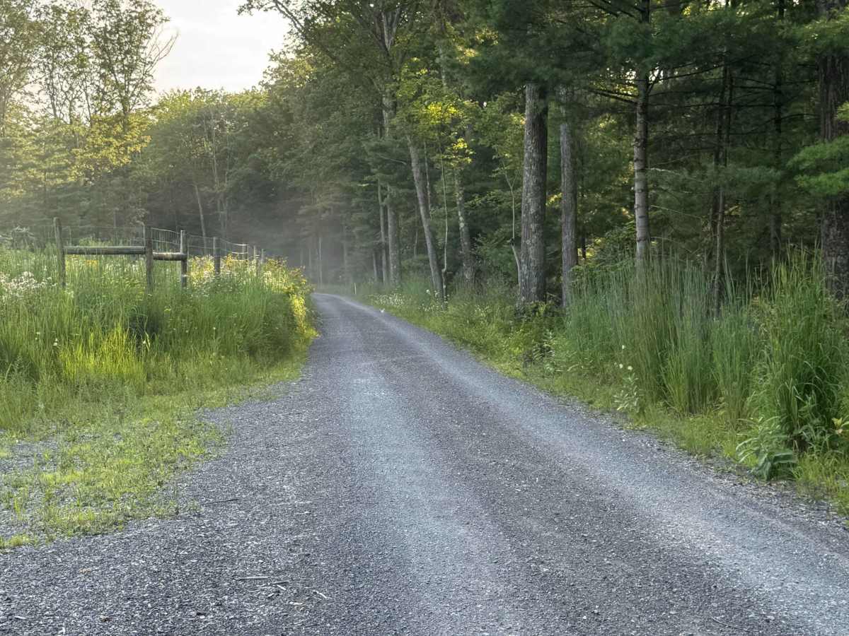 Parker Road photo 5