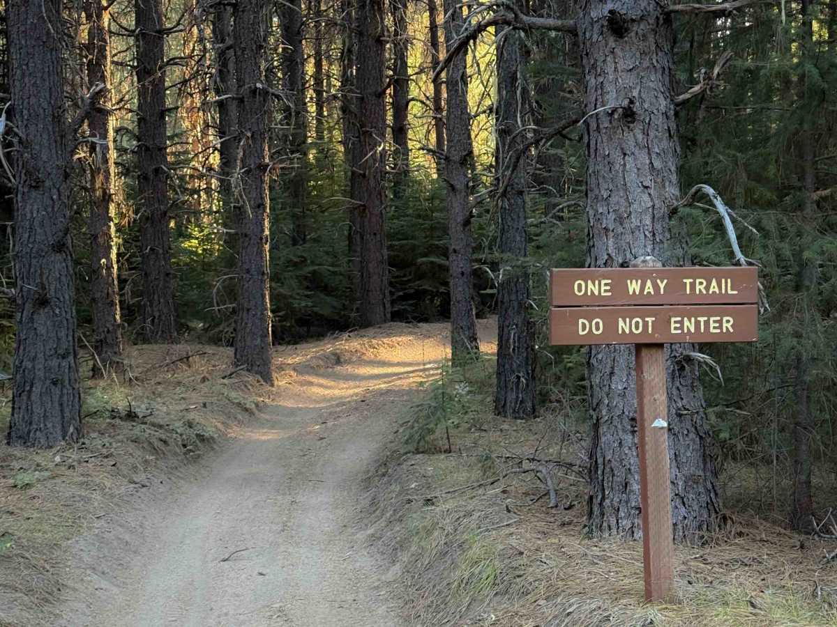 Maze Trail trail photo