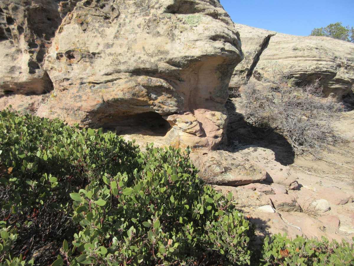 Little Creek Mesa trail photo