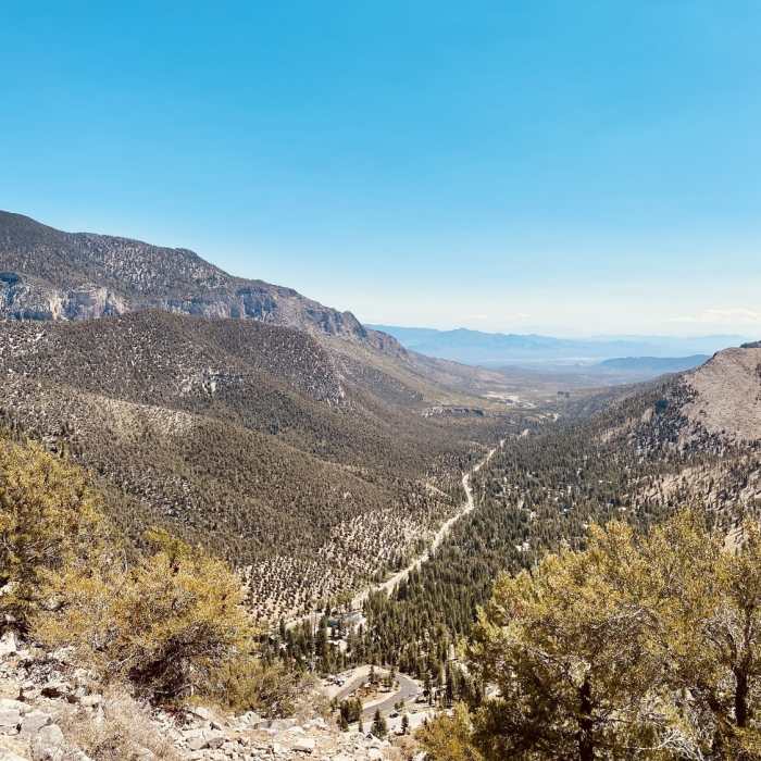 Near Cathedral Rock Trail