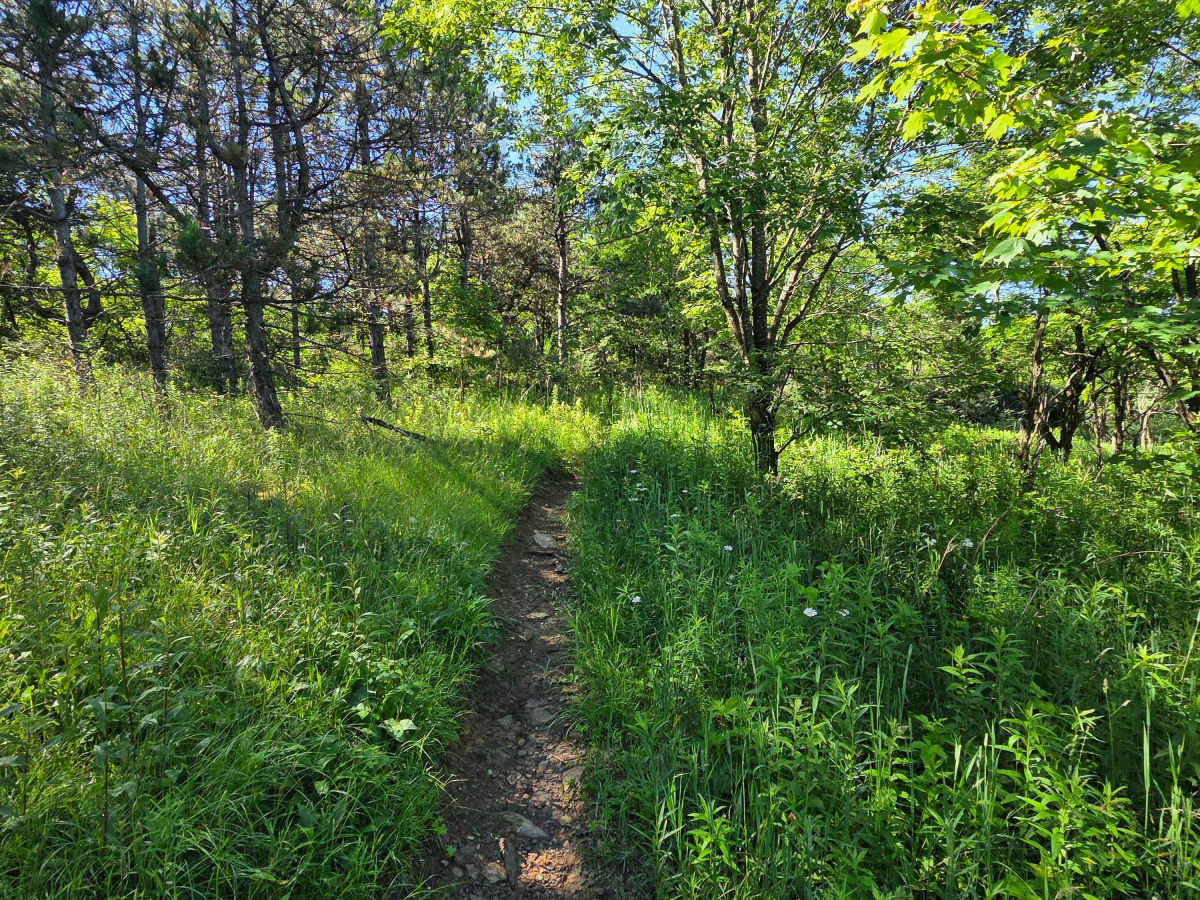 Single Track O photo 6
