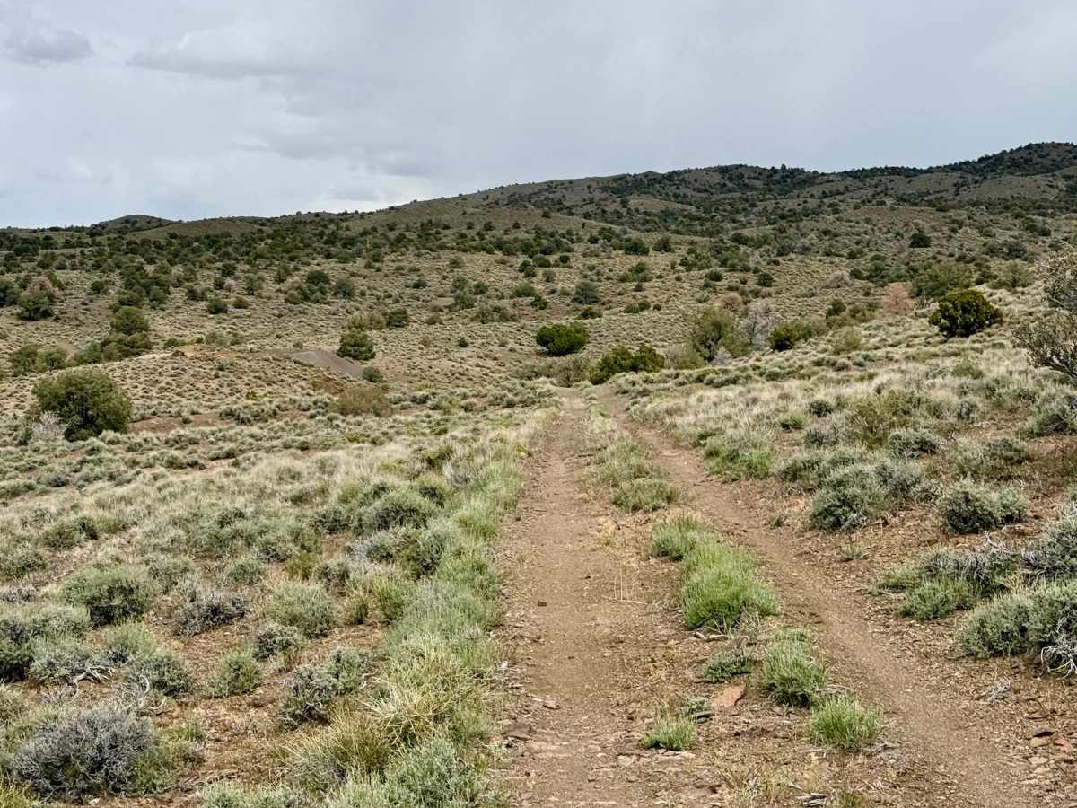 Willow Spring Cutoff - FS 44525 photo 4