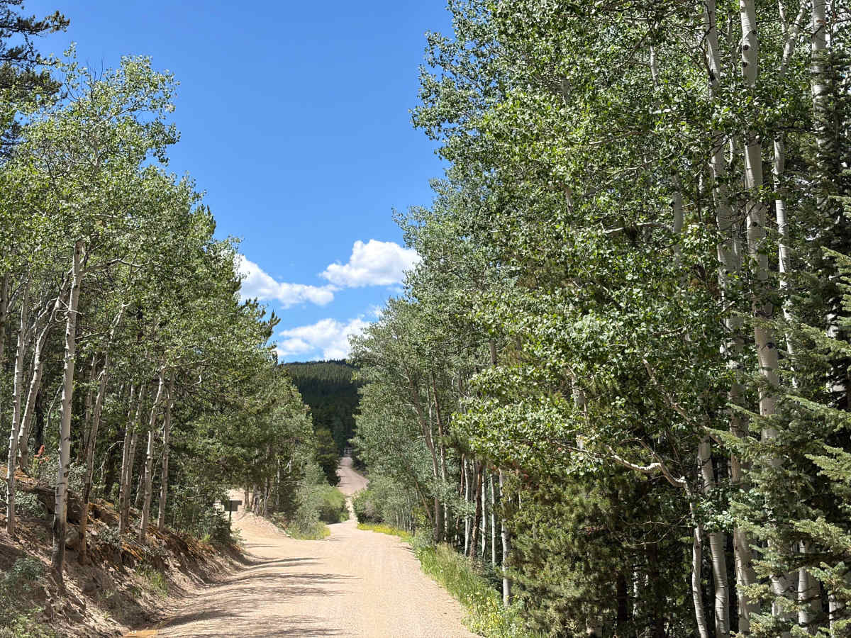Columbine Road photo 4
