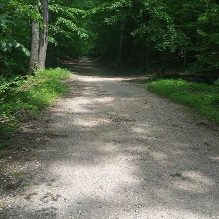 Trail Near Accontink Access Trail