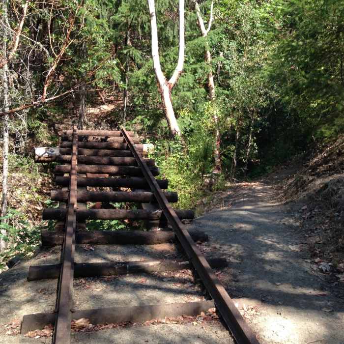 Near Boulder Trail