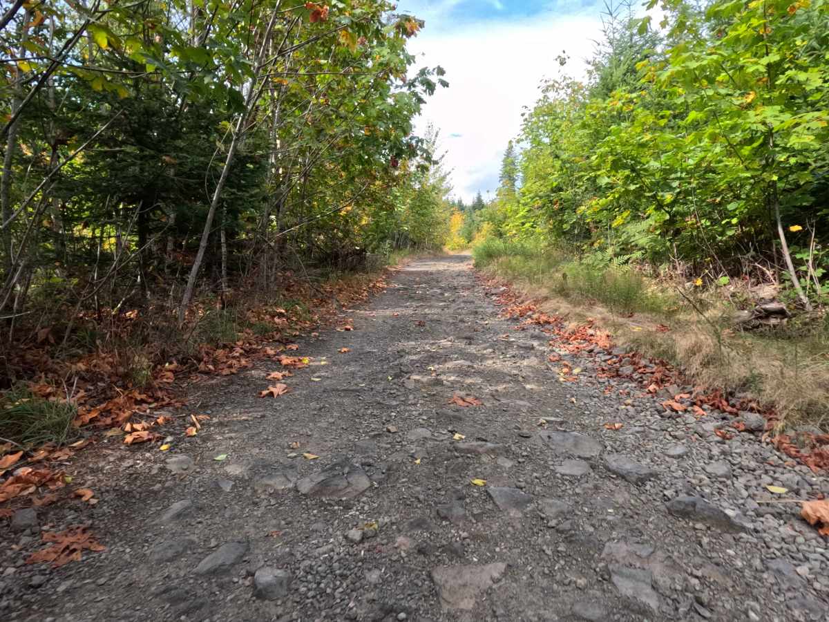 Carson Creek Road trail photo