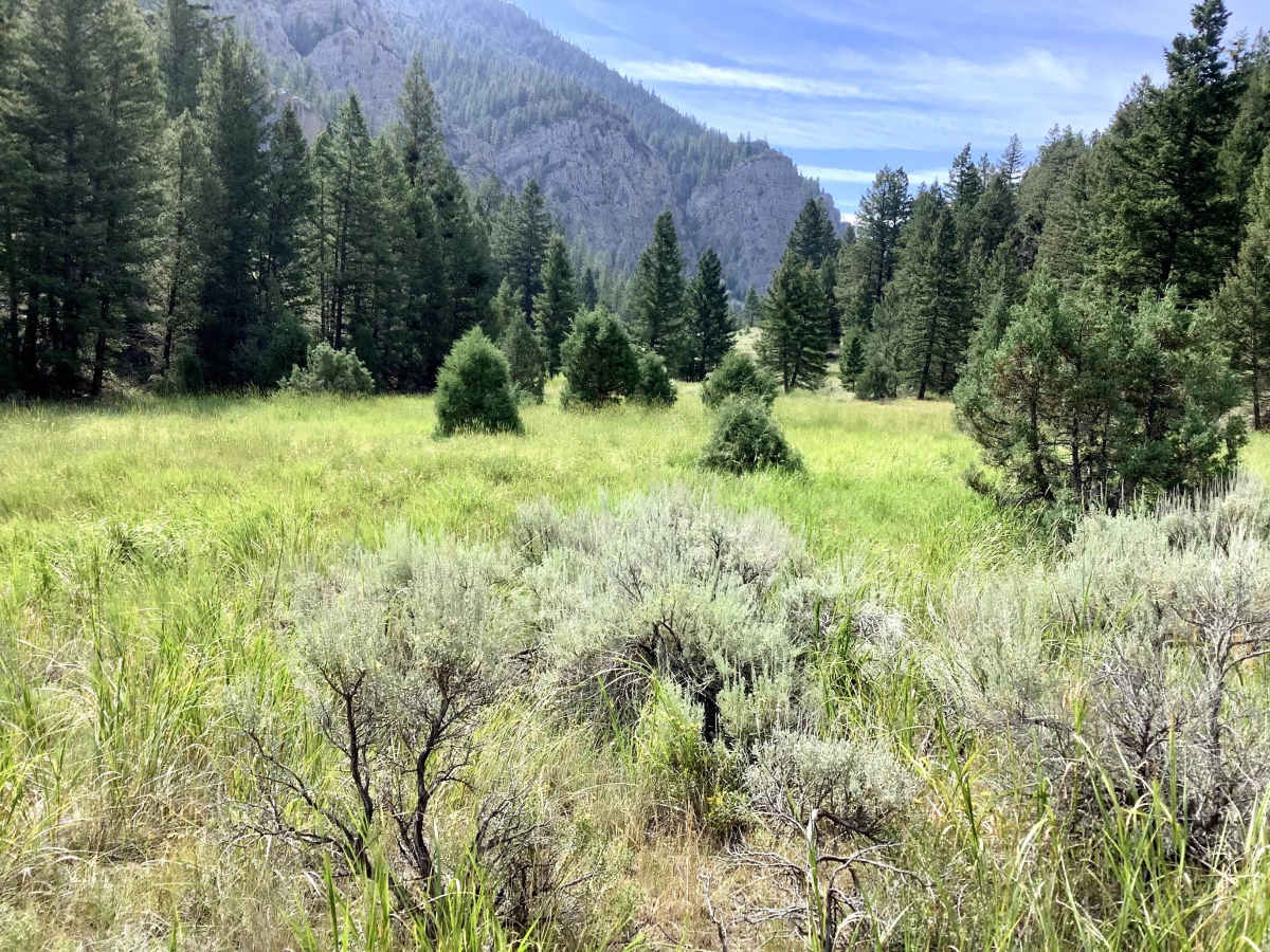 Van Dorn Canyon Trail photo 5