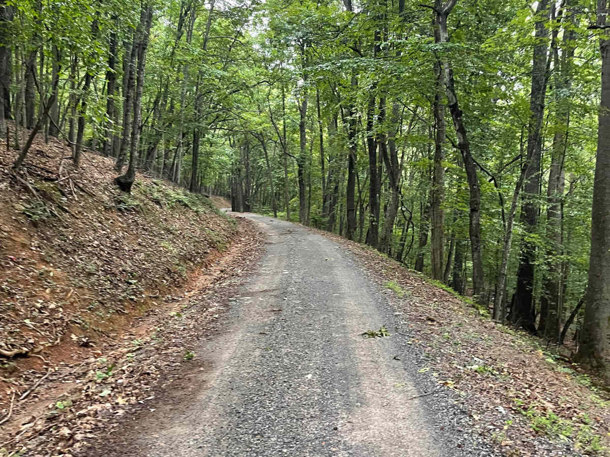 Salt Pond Road photo 5