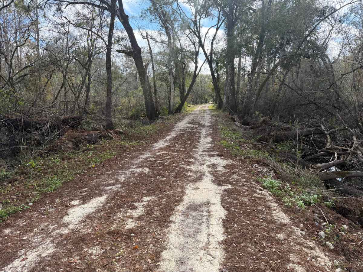 Cedar Pocket Road photo 4
