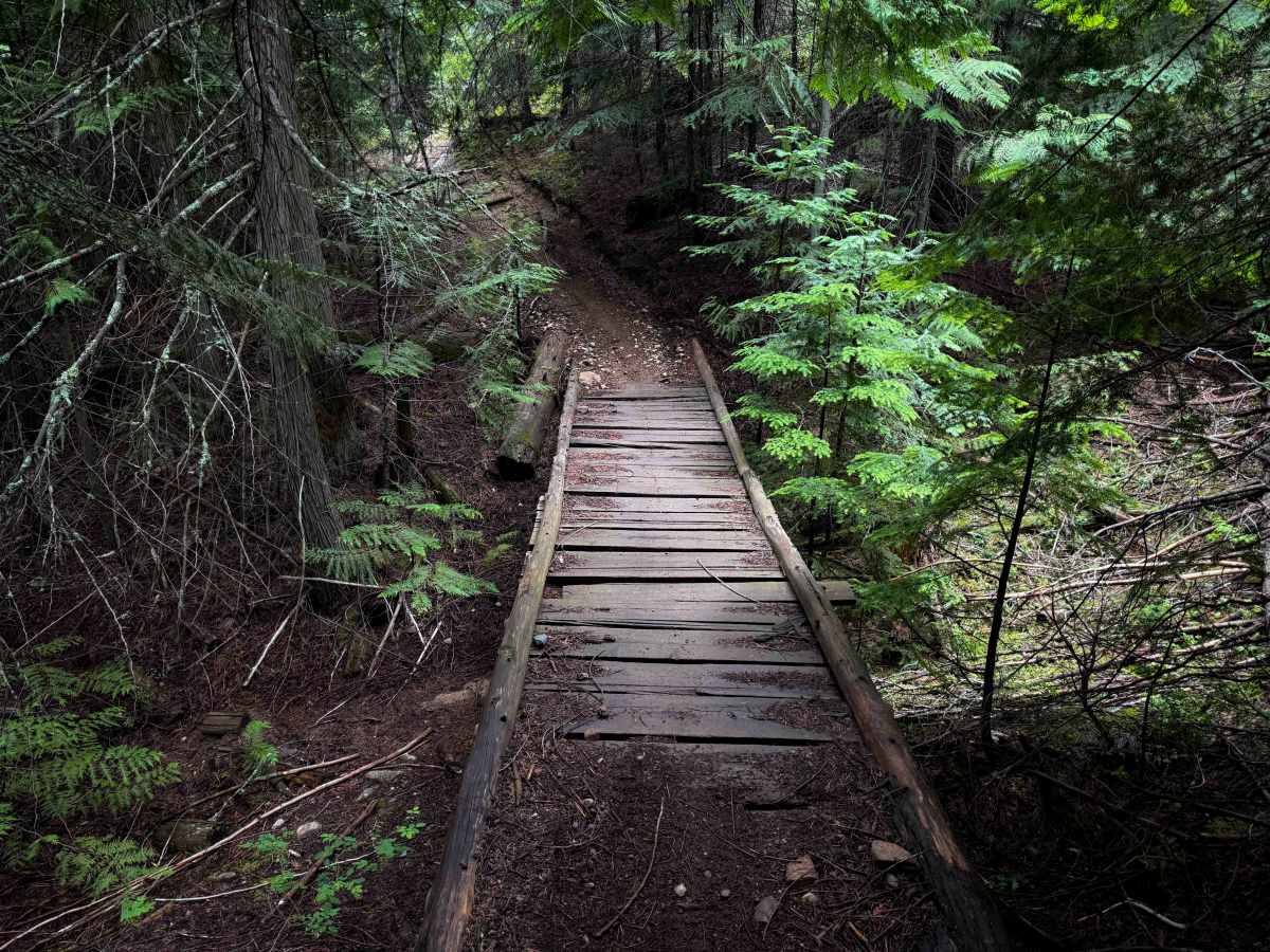 Clark Creek photo 6