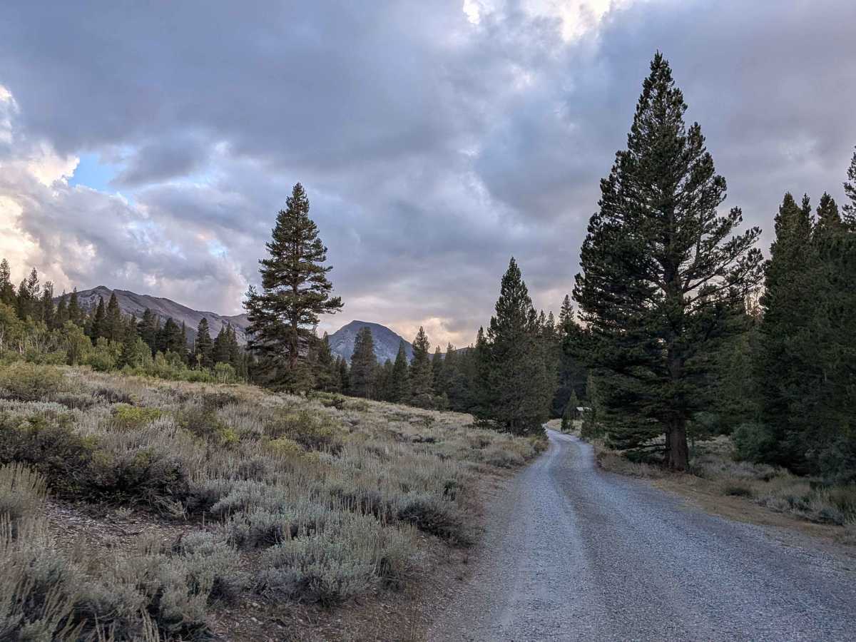 Castle Rock Road - FS 32139 photo 6