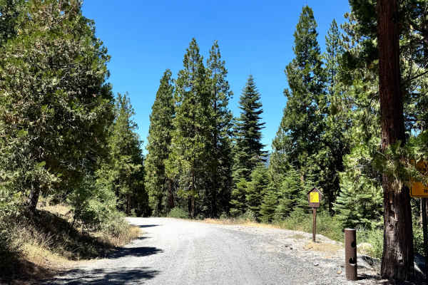Hells Half Acre Road - FS 5N95