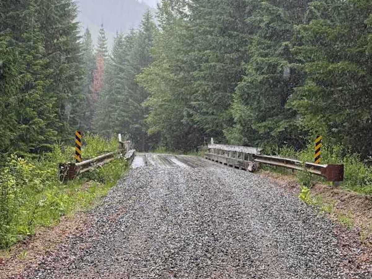 Log Creek - FS 4110 photo 2