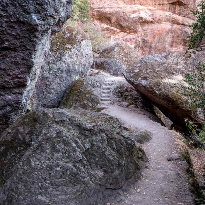 Near Moses Spring Trail Near Moses Spring Trail