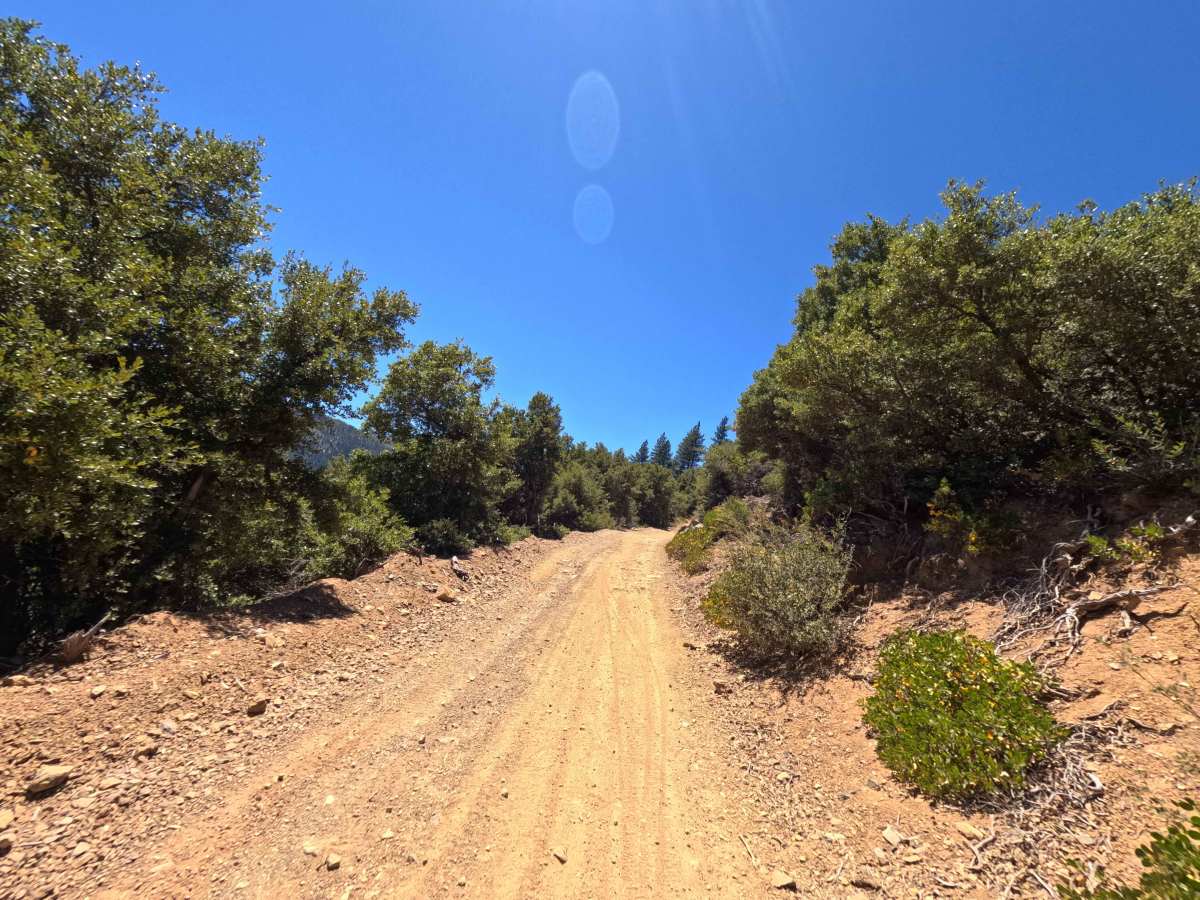 Sierra Buttes Road photo 2