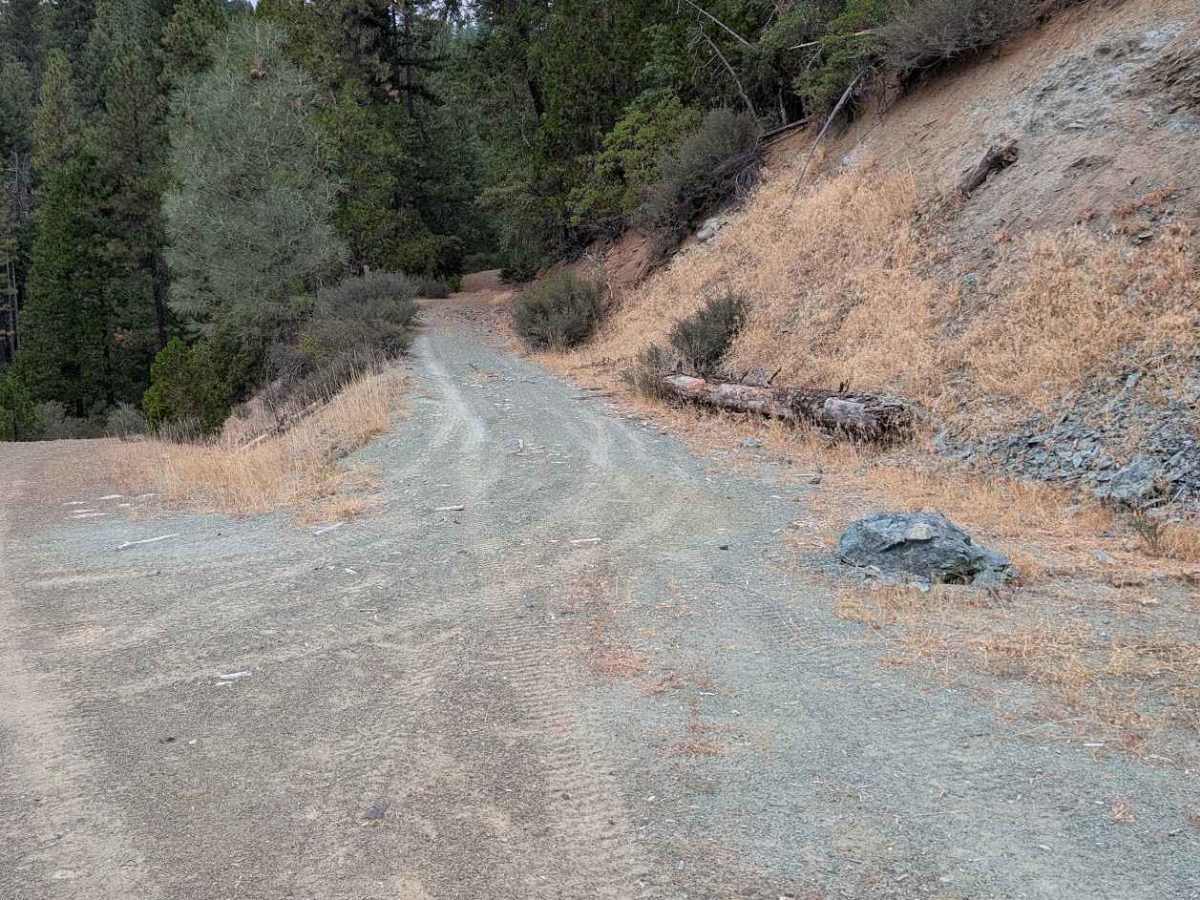North Post Creek Road - FS 1N02 trail photo