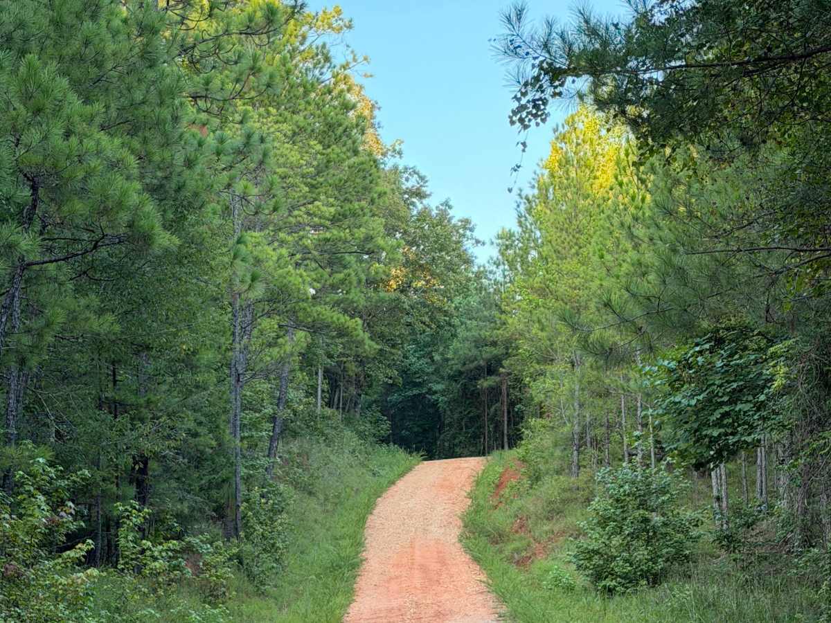 Buck Creek Road photo 5