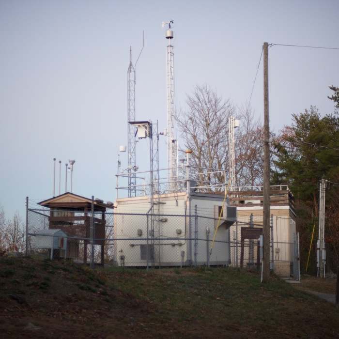 Near Look Rock Tower Trail