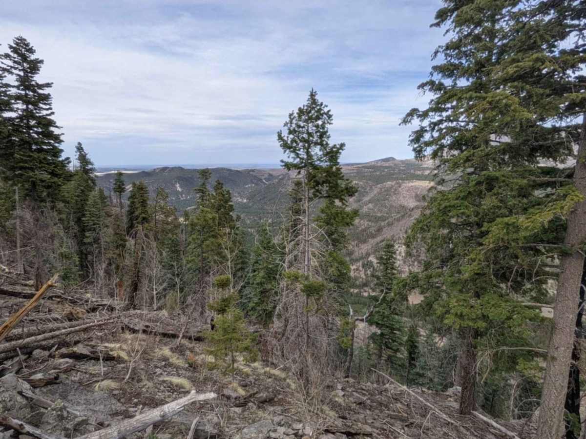 Noble Mountain trail photo