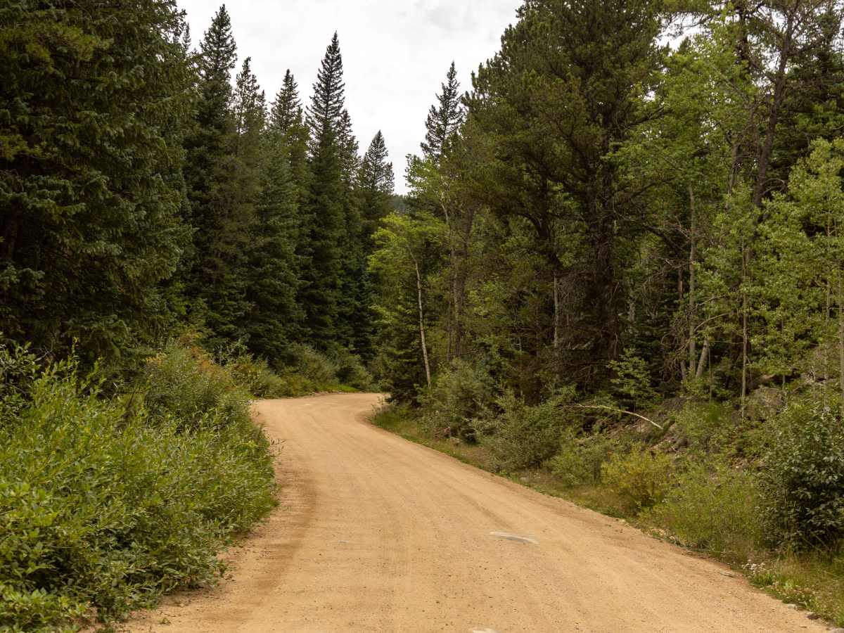 Apex Road photo 5