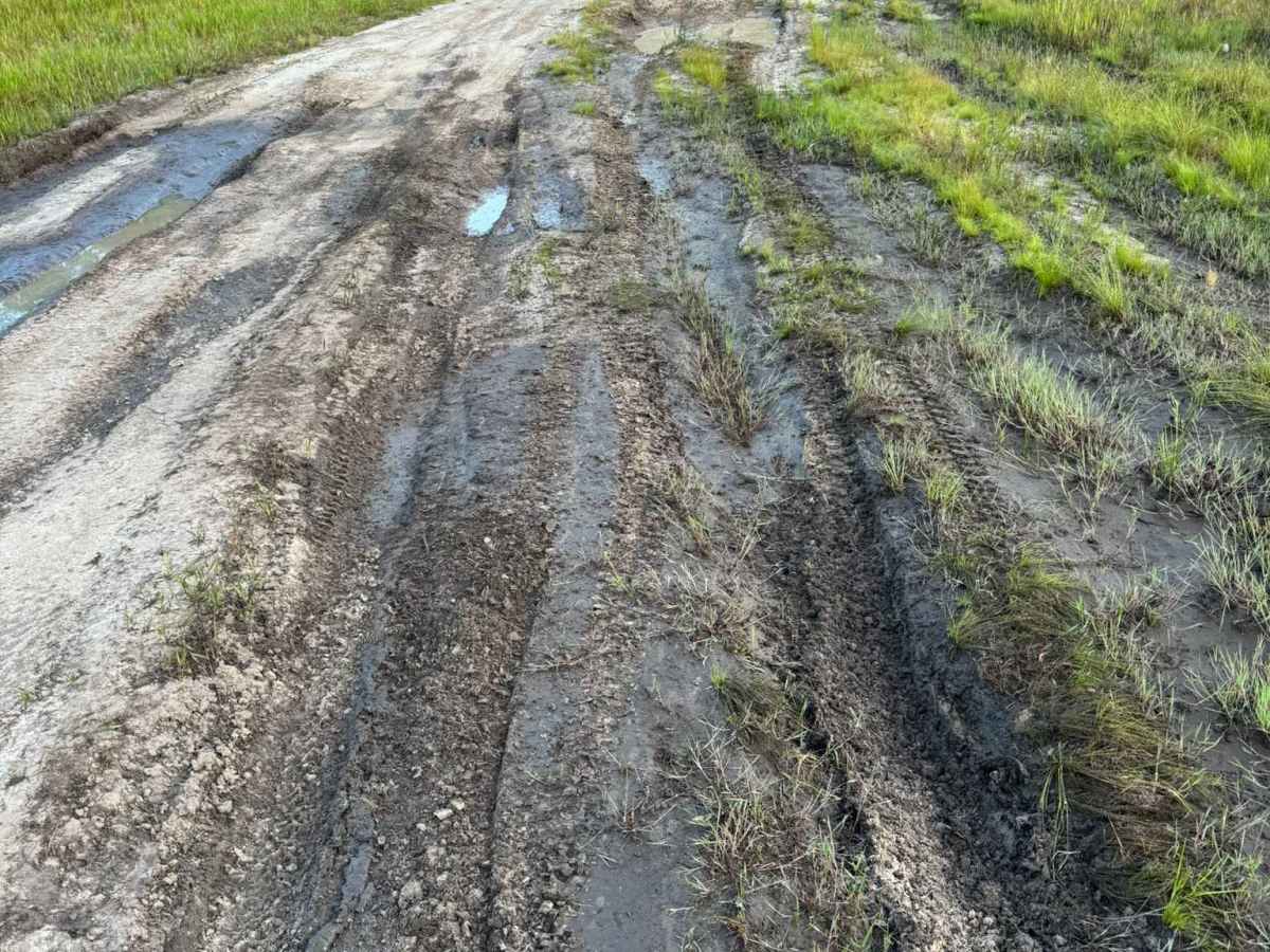 Powerline Plains photo 3
