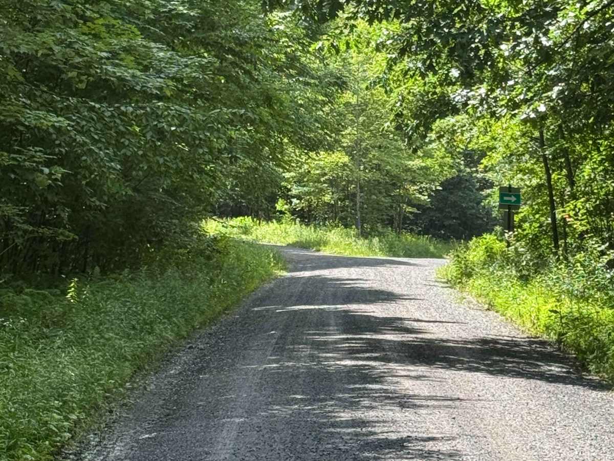 Bloody Skillet Road photo 5