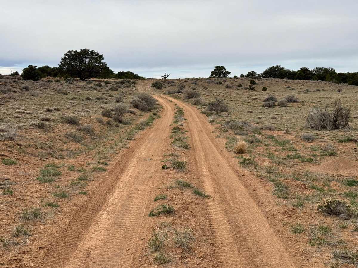 BLM 924 photo 3