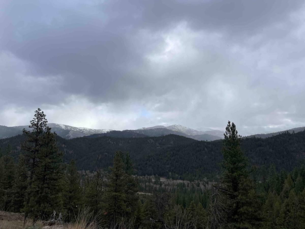 Lloyd Scenic Loop photo 3