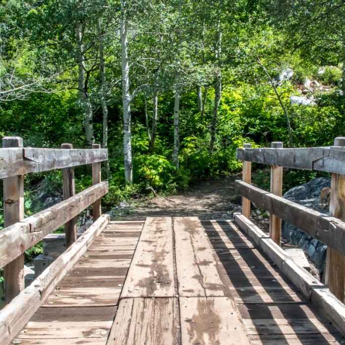 Near Upper Fish Creek Falls