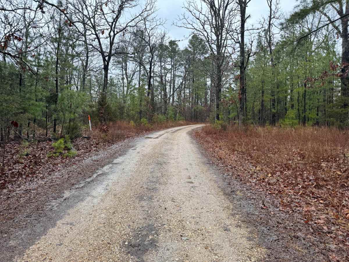 FS 1708 trail photo