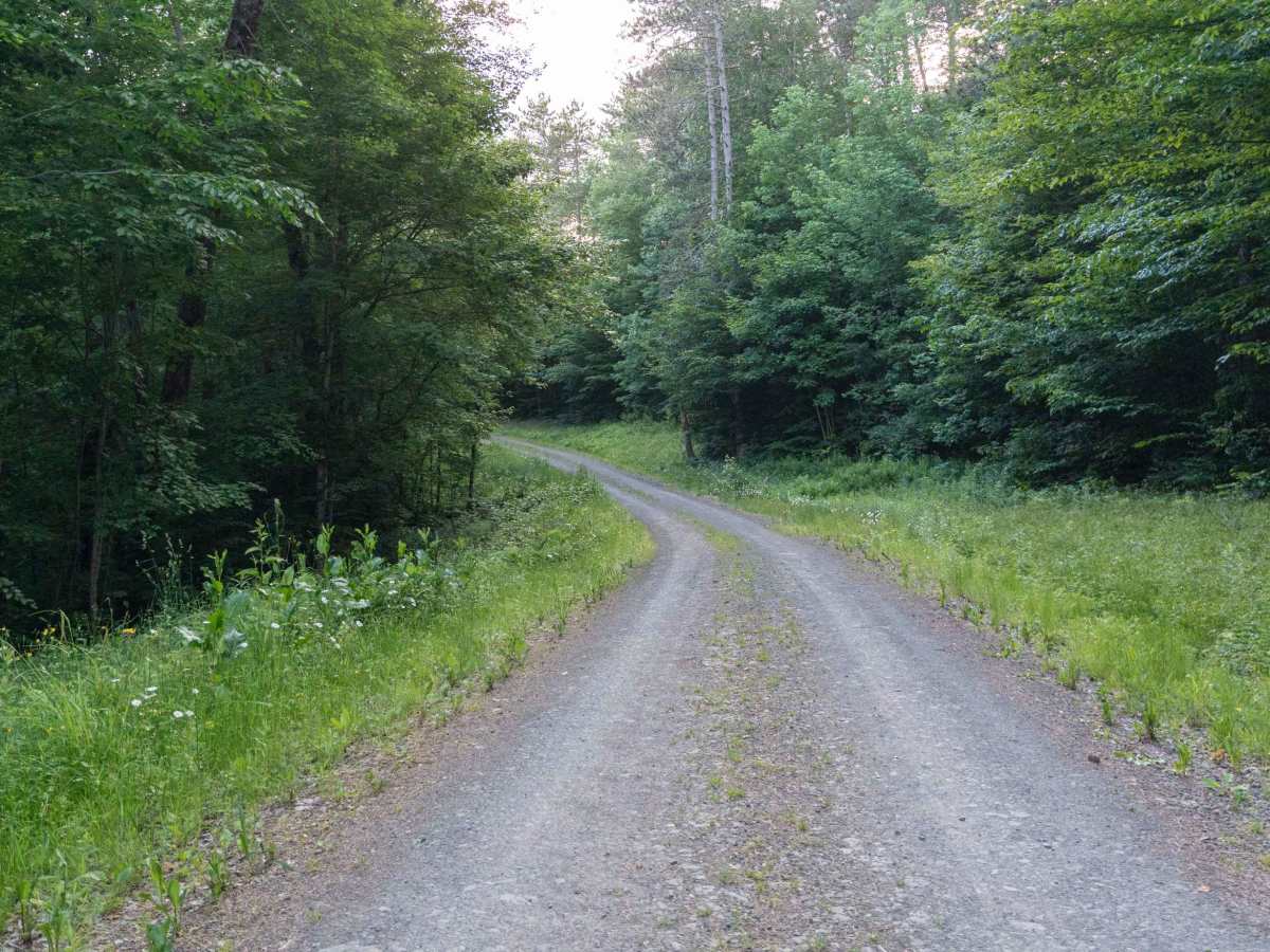Truck Trail 5 trail photo