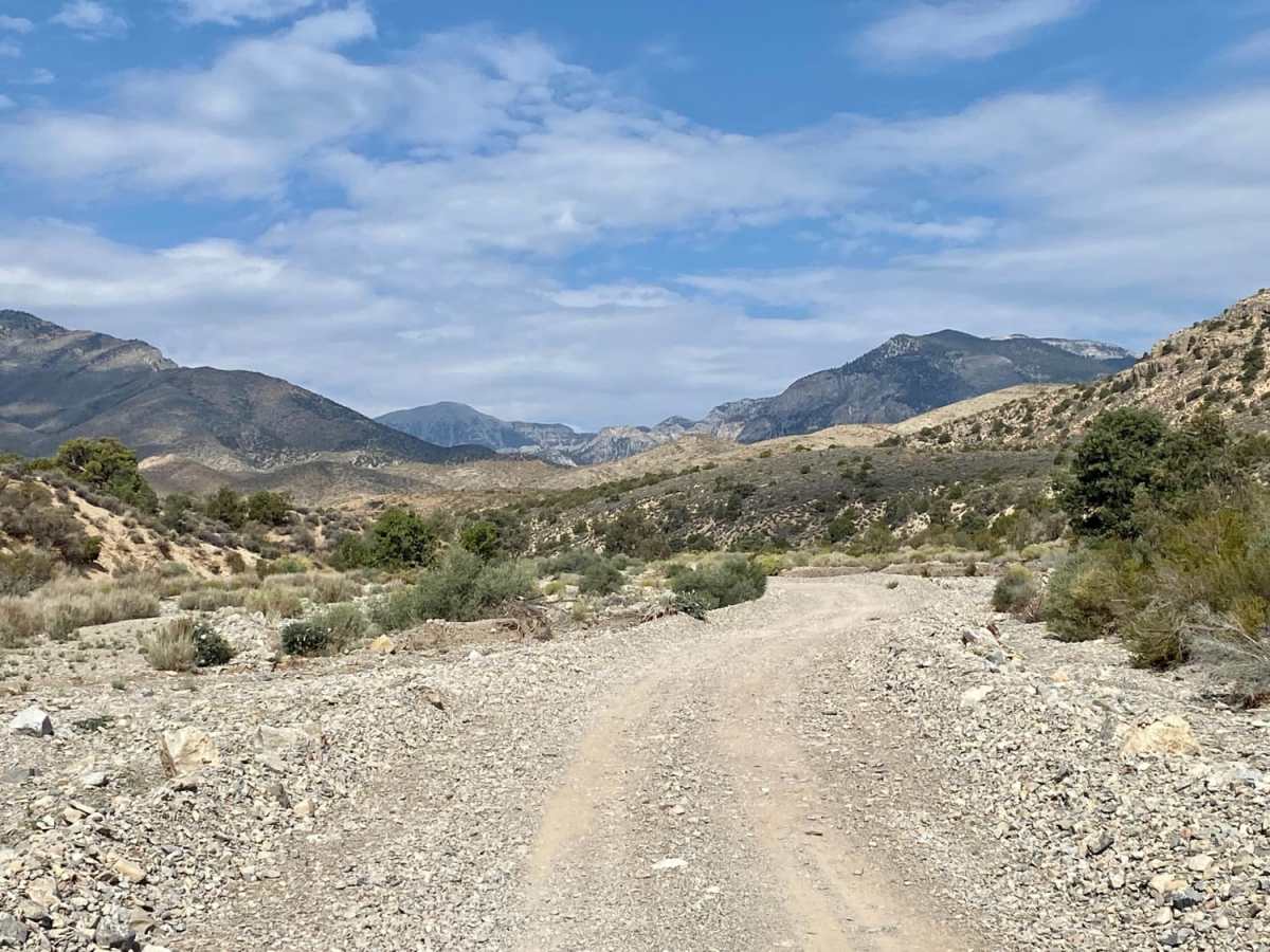 Harris Spring Road photo 3