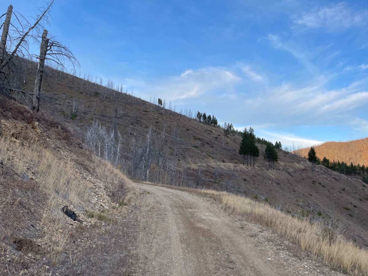 Woods Ridge Loop photo 4