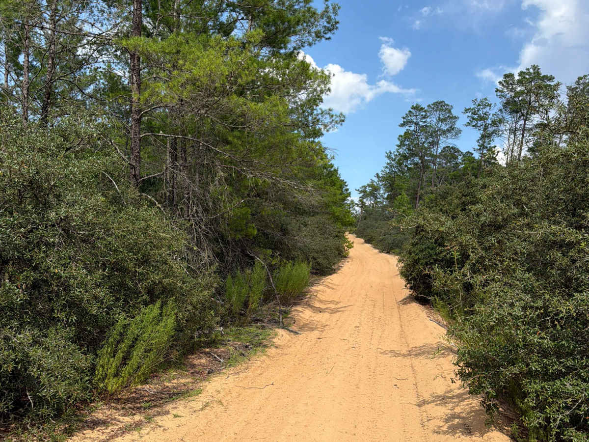 FS 45-5.2 trail photo