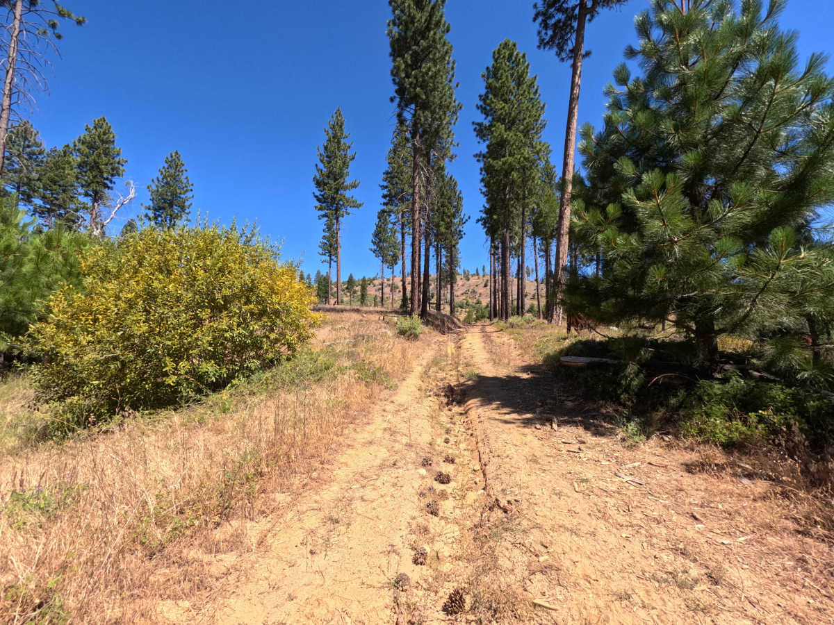 FS 1S41A photo 4