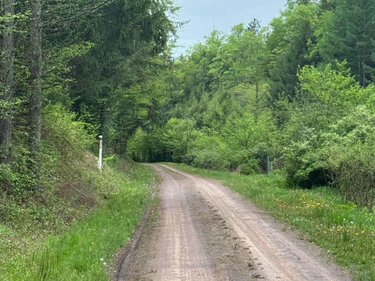 Lebo Road photo 5