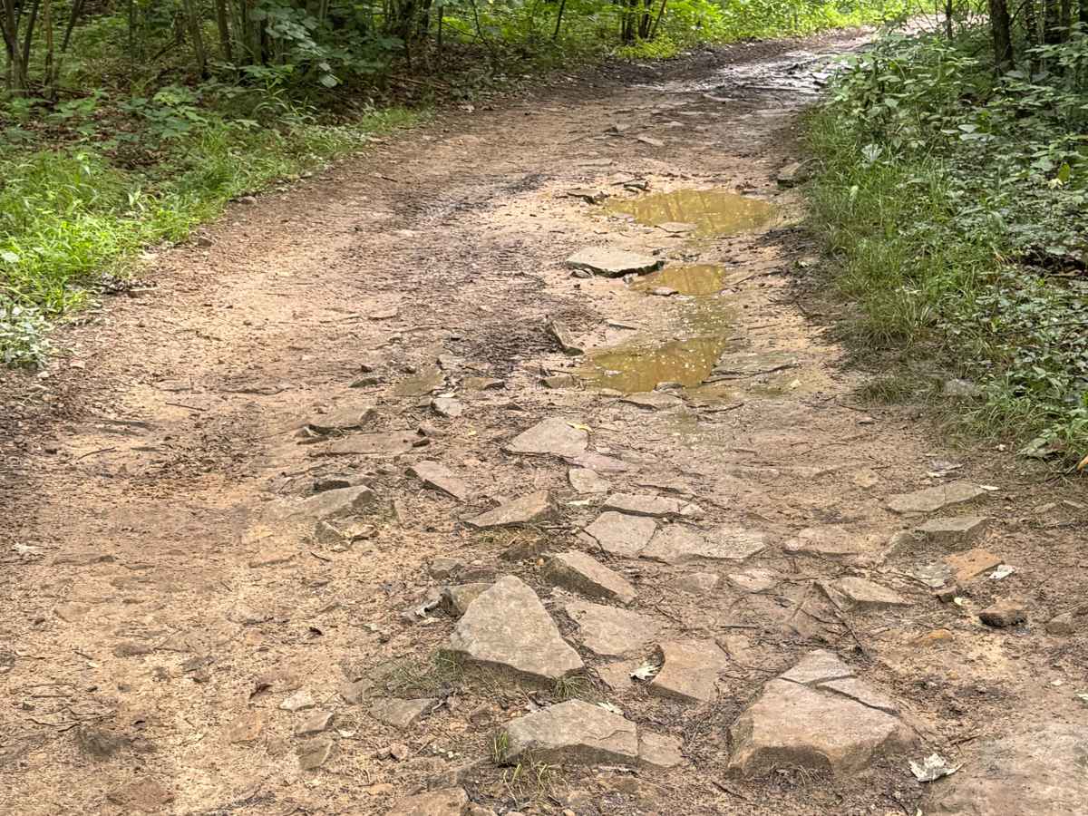 Trail 20 photo 4