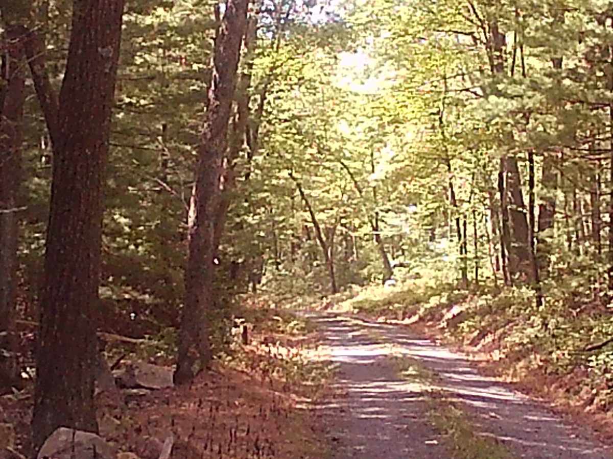 Rupp Hollow Road photo 2