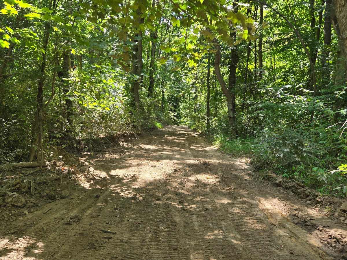 Trail 53 photo 2