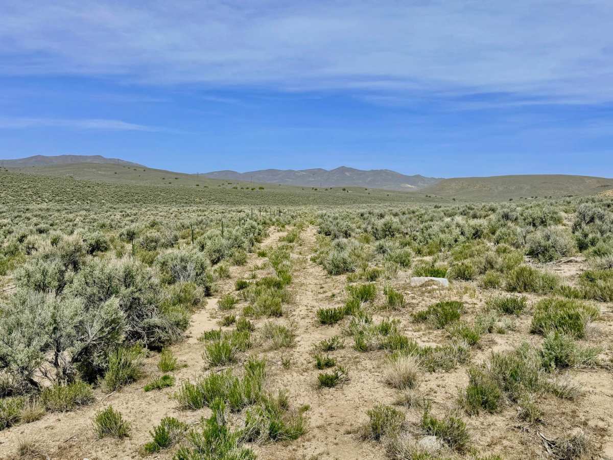 Streshley Springs FS42496 photo 3