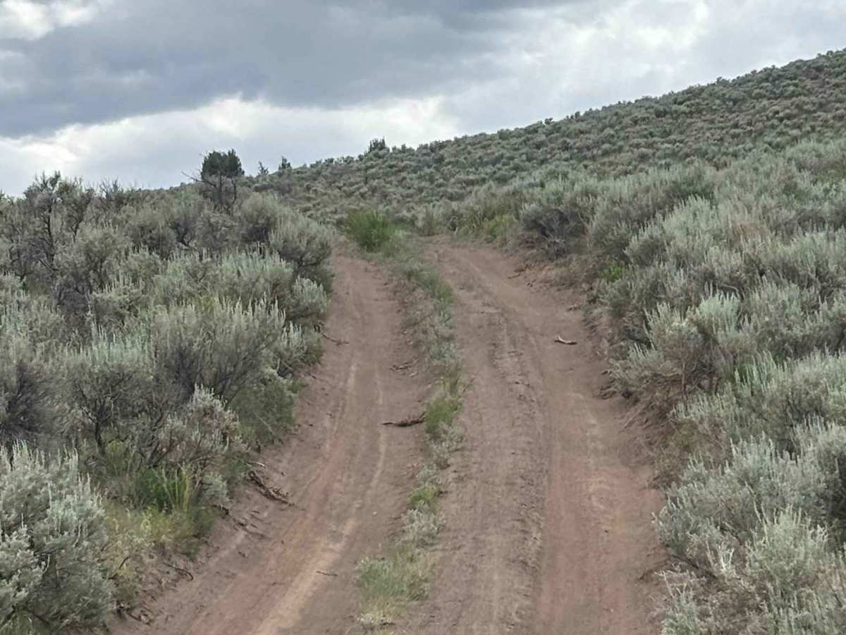 BLM 8465 photo 3