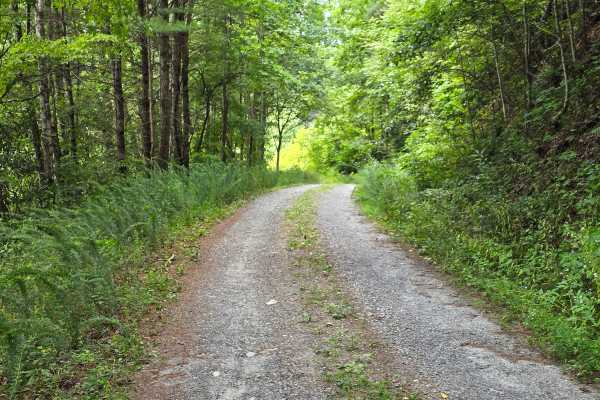Derreberry Gap - FS 6148