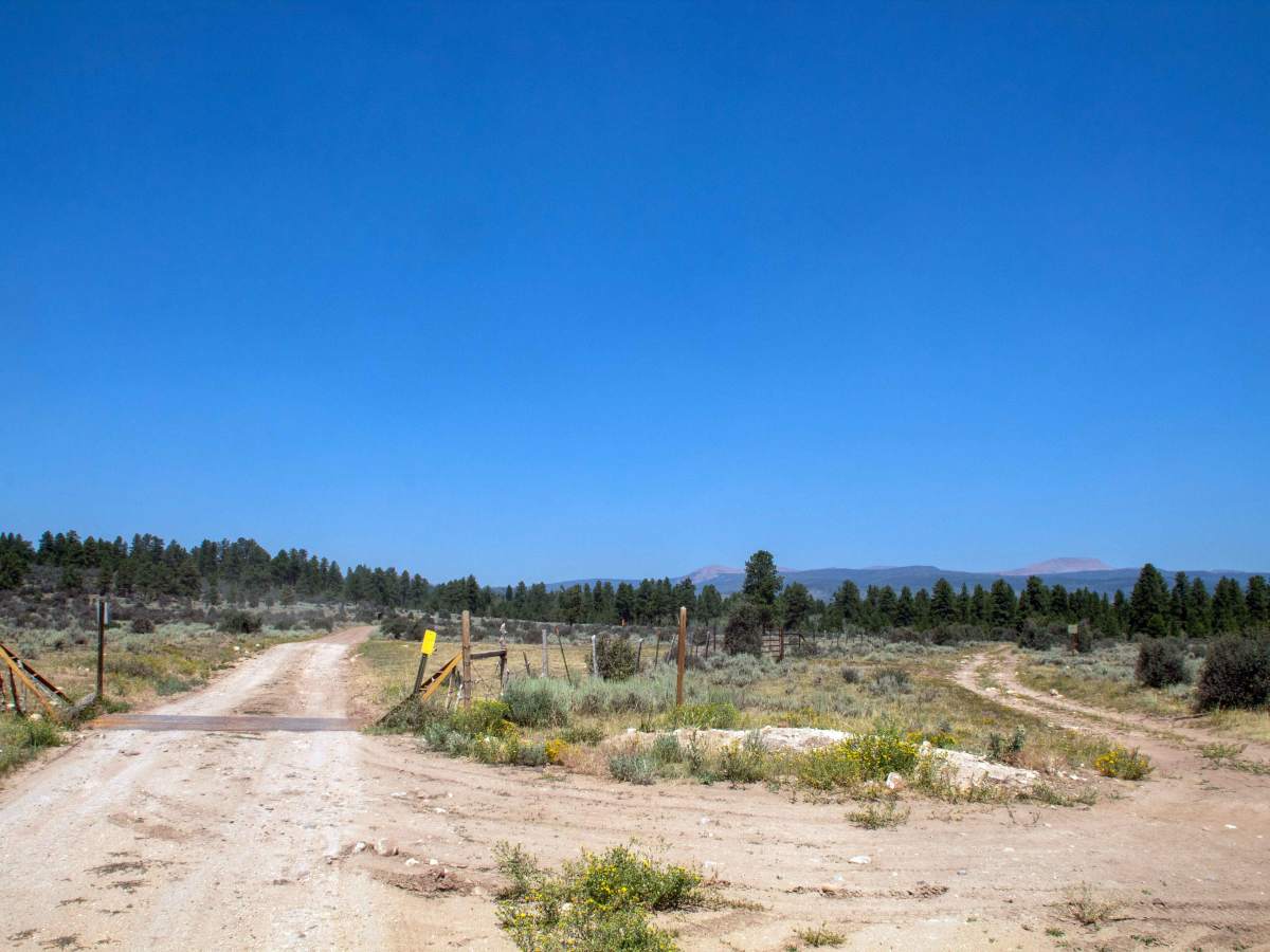 Burnt Mill Springs - FS 10232 photo 4