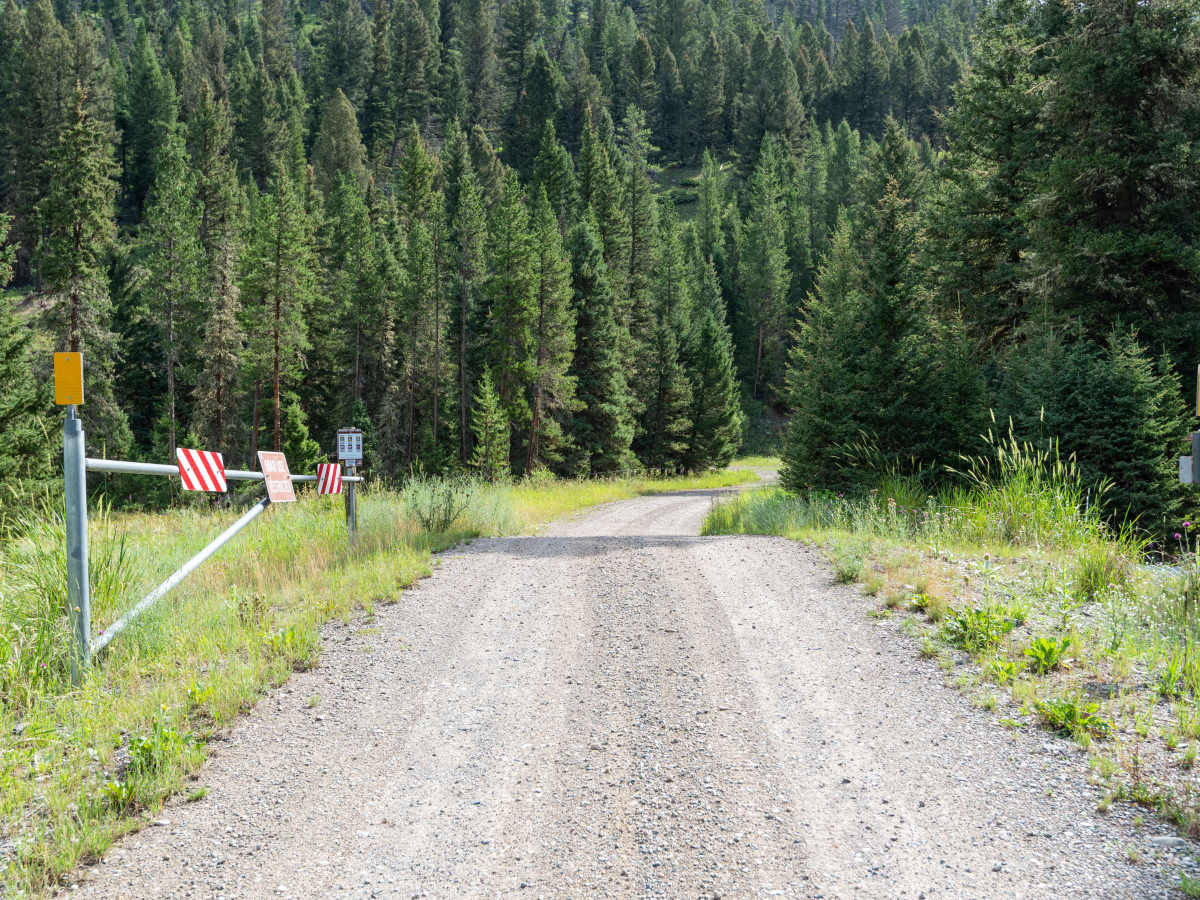 Moose Creek Road - FS 479 photo 2