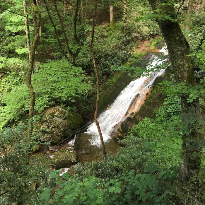 Near Rock Creek Falls Trail #148